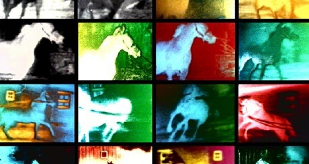 20 10 Legrice Berlin Horse